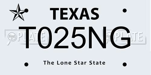 T025NG Texas License Plate