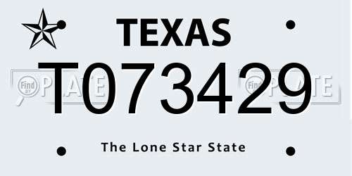 T073429 Texas License Plate
