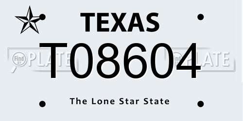 T08604 Texas License Plate