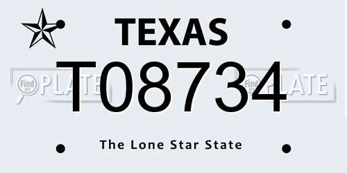 T08734 Texas License Plate