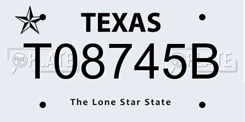 T08745B Texas License Plate