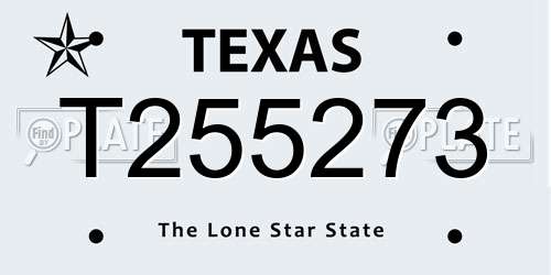 T255273 Texas License Plate