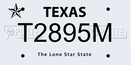 T2895M Texas License Plate