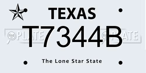 T7344B Texas License Plate