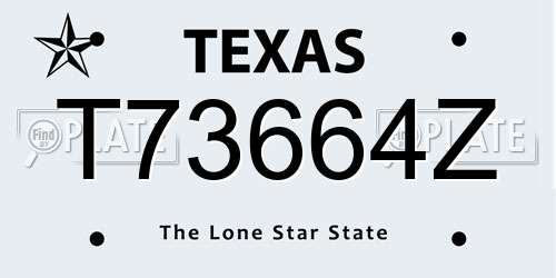 T73664Z Texas License Plate