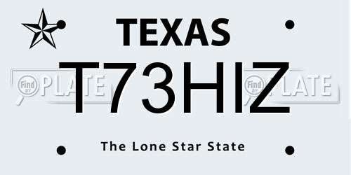T73HIZ Texas License Plate