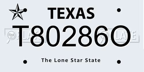 T80286O Texas License Plate