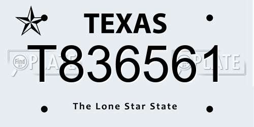 T836561 Texas License Plate