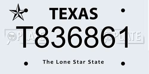 T836861 Texas License Plate