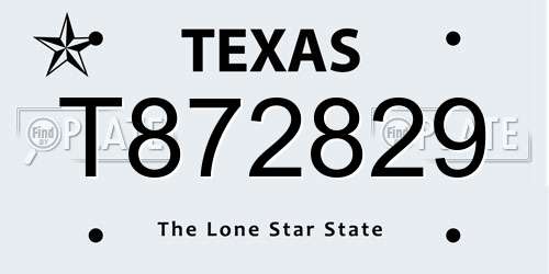 T872829 Texas License Plate