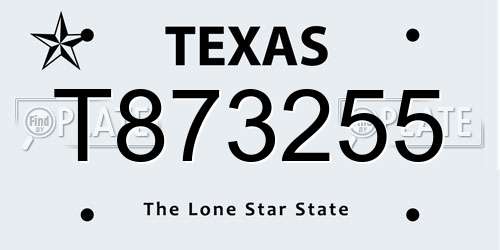 T873255 Texas License Plate