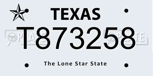T873258 Texas License Plate