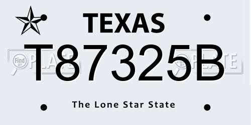 T87325B Texas License Plate