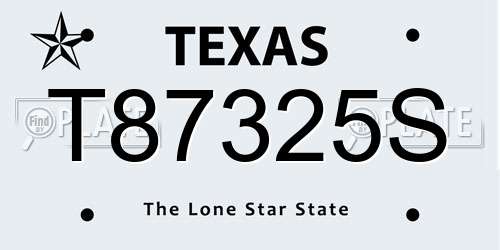 T87325S Texas License Plate