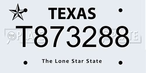 T873288 Texas License Plate