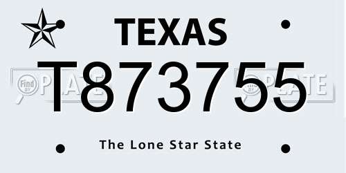 T873755 Texas License Plate