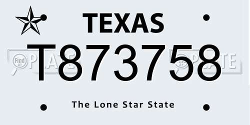 T873758 Texas License Plate