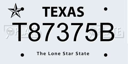 T87375B Texas License Plate