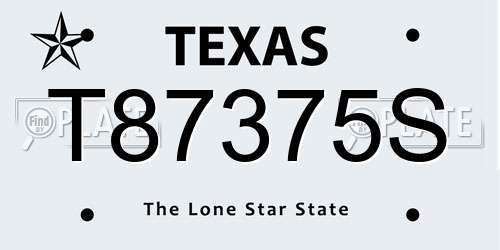 T87375S Texas License Plate