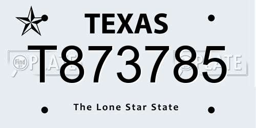 T873785 Texas License Plate