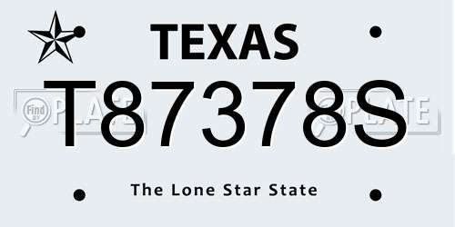 T87378S Texas License Plate