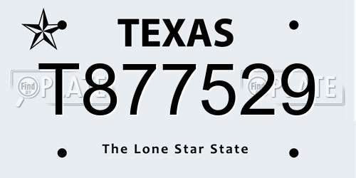 T877529 Texas License Plate