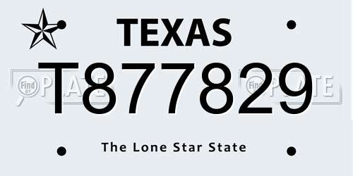 T877829 Texas License Plate