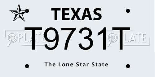 T9731T Texas License Plate