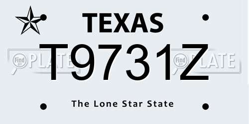 T9731Z Texas License Plate