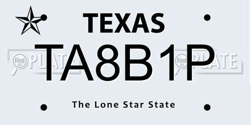 TA8B1P Texas License Plate