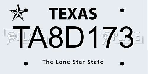 TA8D173 Texas License Plate