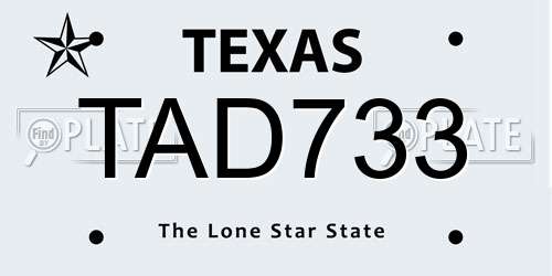 TAD733 Texas License Plate
