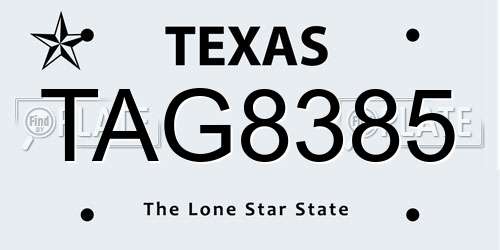 TAG8385 Texas License Plate