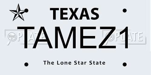 TAMEZ1 Texas License Plate