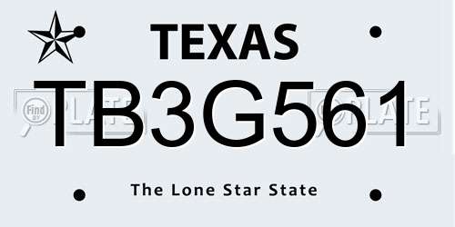 TB3G561 Texas License Plate