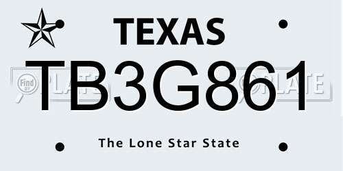 TB3G861 Texas License Plate