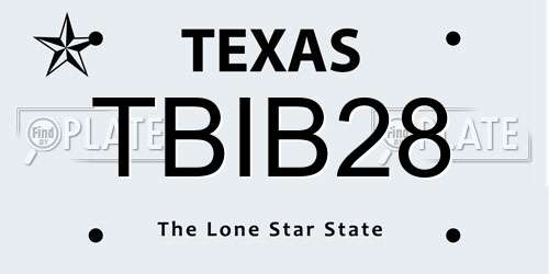 TBIB28 Texas License Plate