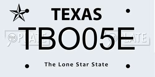 TBO05E Texas License Plate