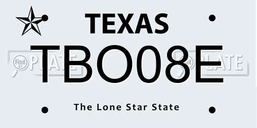 TBO08E Texas License Plate