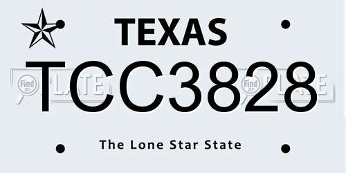 TCC3828 Texas License Plate