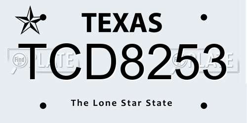 TCD8253 Texas License Plate
