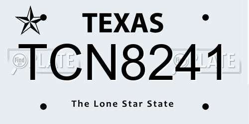 TCN8241 Texas License Plate