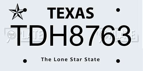 TDH8763 Texas License Plate