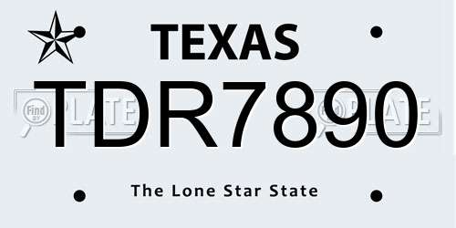 TDR7890 Texas License Plate