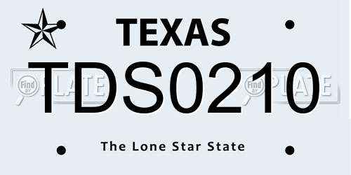 TDS0210 Texas License Plate