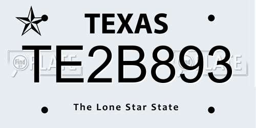 TE2B893 Texas License Plate