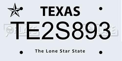 TE2S893 Texas License Plate