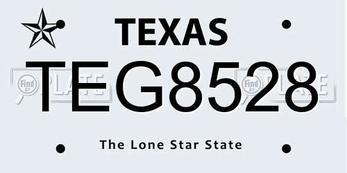TEG8528 Texas License Plate