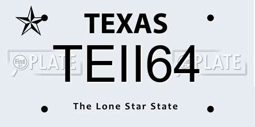 TEII64 Texas License Plate