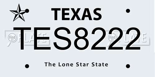 TES8222 Texas License Plate